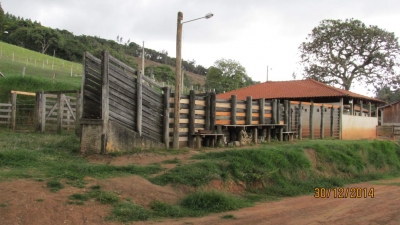 Venda - Rural (Sítio) - Zona Rural - Munhoz/MG - Cod. -500